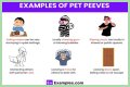 Common Pet Peeves: Everyday Annoyances