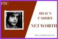 Shaun Cassidy Net Worth – How Much is Cassidy Worth?