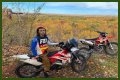 Who is Miles Pfeffer? And Know Some Facts About Miles Pfeffer!!!